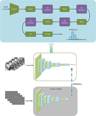 3D network with channel excitation and knowledge distillation for action recognition